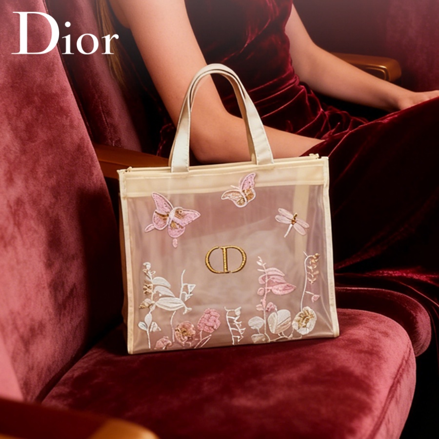 Сумка Christian Dior, роскошна – обзор и цена Travel Accessories Organizer Bag