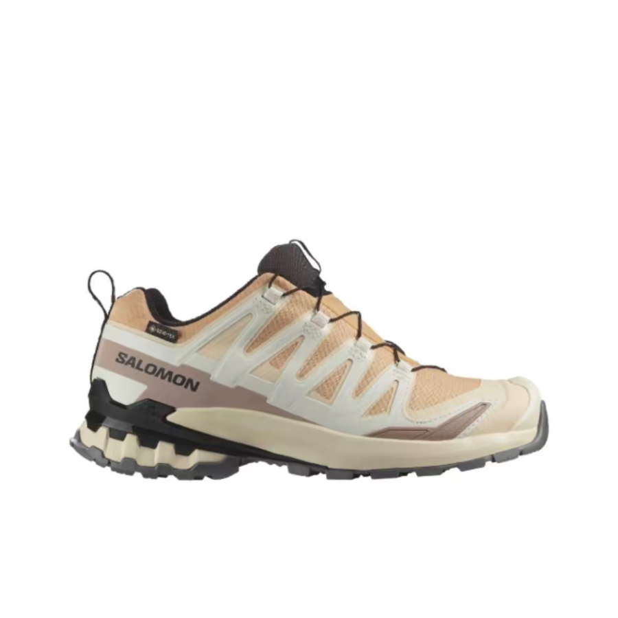 Кроссовки Salomon XA Pro 3D V9 – обзор и цена Salomon Shoes Xa Pro 3D